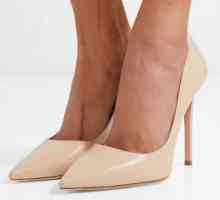 Обувки за високи токчета за жени: преглед на най-добрите модели