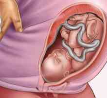 35 Седмици на бременността: височината и теглото на бебето, кикотене, състоянието на майката