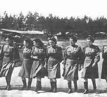 46 Гварди женски полк нощни бомбардировачи ("Нощни вещици")