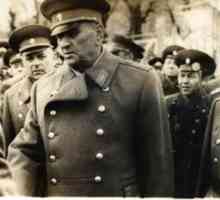 АА Гречко, маршал на Съветския съюз: биография и снимки