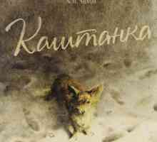 А. Чехов, `Kashtanka`: ревюта за историята