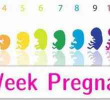 Аборт на 8-та седмица от бременността
