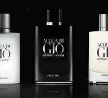 Acqua Di Gio от Джорджо Армани: култов аромат за мъже