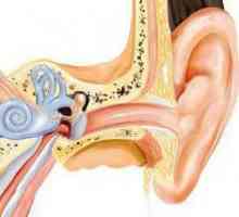 Адхезивен отит на средното ухо: симптоми, лечение