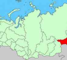 Административно разделение, флаг и емблема на региона Amur