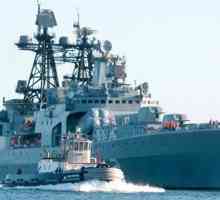 "Адмирал Пантелеев" - голям антисубърменен кораб: описание, история, състав и интересни…