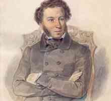 "Admiralty Needle" - анализ на стихотворението на Александър Сергеевич Пушкин