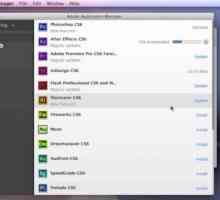 Adobe Application Manager: каква е тази програма и мога ли да се отърва от нея?