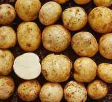 Adretta е картофено разнообразие с високи вкусови качества
