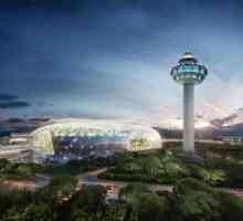 Летище Сингапур "Чанги": схема, снимка