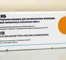 "ACT-HIB" (ваксина): инструкции за употреба. Ваксината срещу инфекция с Hib