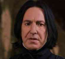 Актьорът Severus Snegg е герой в книжната серия на Дж. К. Роулинг за Хари Потър. Описание и…