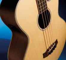 Акустична бас китара: характеристики на инструмента