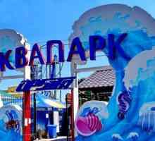 Аквапарк в Коблево: почивка и ревюта на туристи