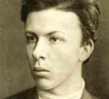 Александър Улянов - революционер-Народоволци, брат на Ленин. Биография, революционна дейност