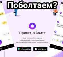 `Alice` (` Yandex`): прегледи, описание, използване