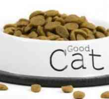Алергия към котешка храна: симптоми и лечение