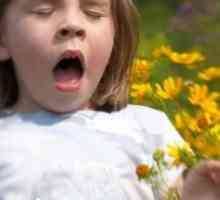 Алергии в детето и основните му прояви