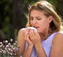 Алергия през пролетта и факторите, които я причиняват