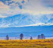 Altai Territory, санаториуми: описание, услуги, цени, ревюта