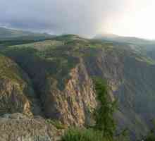 Резерват Алтай е връхна точка на територията Алтай