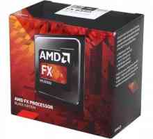 AMD FX-8350: Характеристики и преглед