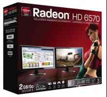 AMD Radeon HD 6570: преглед на видеокартата