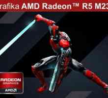 Графичната карта AMD Radeon R5 M230