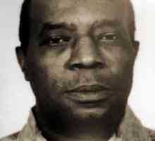 Американски черен гангстер и криминална власт Джонсън Елсуърт: биография, дейности, история на…