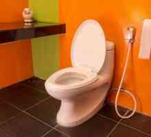 Американска тоалетна: функции, принцип на работа, плюсове за ползване