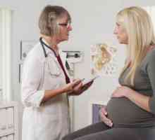 Кръвен тест за антитела по време на бременност: характеристики на подготовката, препис и препоръки