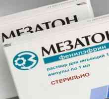 Аналози на "Mezaton" в Русия: списък, описание и инструкции за употреба