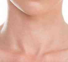 Анатомия: структурата на шията на мъж като цяло