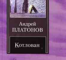 Андрей Платонов, "Капанът": анализ. "Pit" Platonov: проблематиката на работата