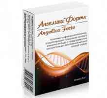 "Angelica Forte": рецензии, състав, странични ефекти, аналози
