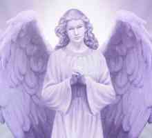 Ангелско познание от Дорин Верче