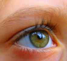 Ангиопатия на ретината на окото: причини, симптоми и методи на лечение