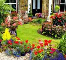 Английска градина: история, основни характеристики и интересни факти