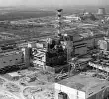 Аномалии в Чернобил: последствията от ужасната катастрофа в атомните електроцентрали