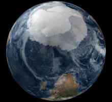 Антарктика: климат и фауна