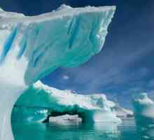 Антарктида е ледът. Какво друго не знаехте за Антарктида