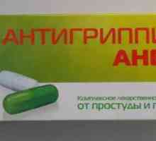"Antigrippin-Anvi": инструкции за употреба. `Antigrippin-Anvi`: отзиви и…