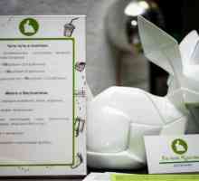 Anticafe `White Rabbit` (област Галяново): описание, мнения, цени
