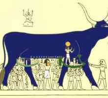 Апис е египетският бог на плодородието