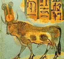 Апис - свещеният бик на Египет
