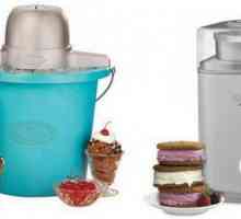 Апарат за приготвяне на сладолед: видове, модели, характеристики. Фритюрници за мек сладолед
