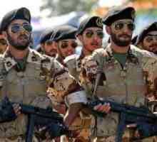 Иранската армия: История и модерност