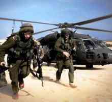 Армията на Израел. Въоръжените сили на държавата