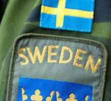 Армията на Швеция: сила, оборудване, снимки