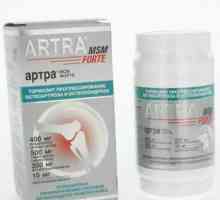 `Artra MSM Forte`: инструкции и справки